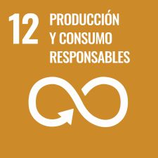 prduccion_y_Consumo