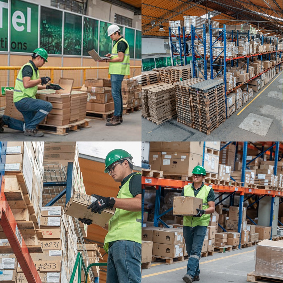servicios servicios